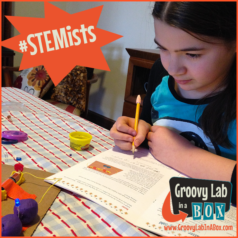 STEMist using Lab Notebook