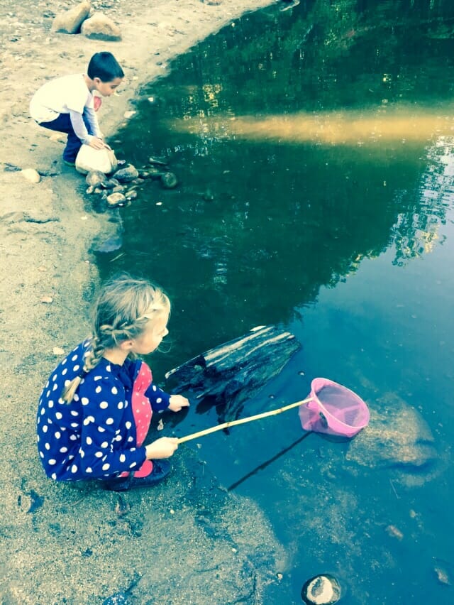 Homeschool Science And Nature Study With Beautiful Feet books YouTube My Little Poppies