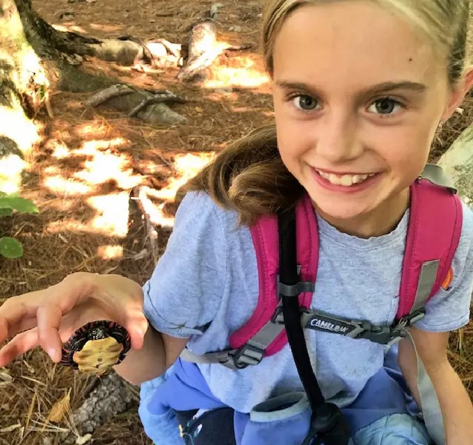 Exploring Nature with Children: Tips and Resources for Homeschool Parents | My Little Poppies