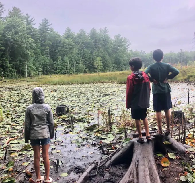 Exploring Nature with Children: Tips and Resources for Homeschool Parents | My Little Poppies