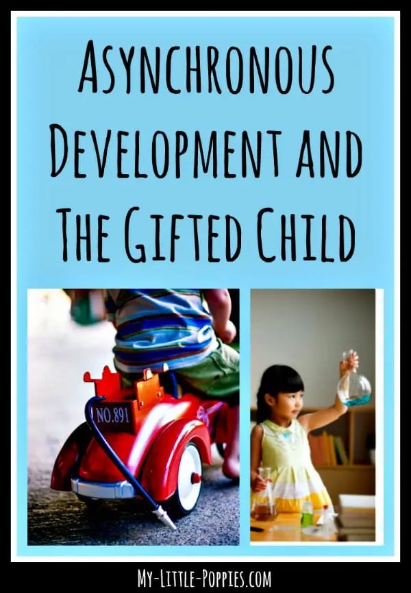 Asynchronous Development and The Gifted Child My Little Poppies
