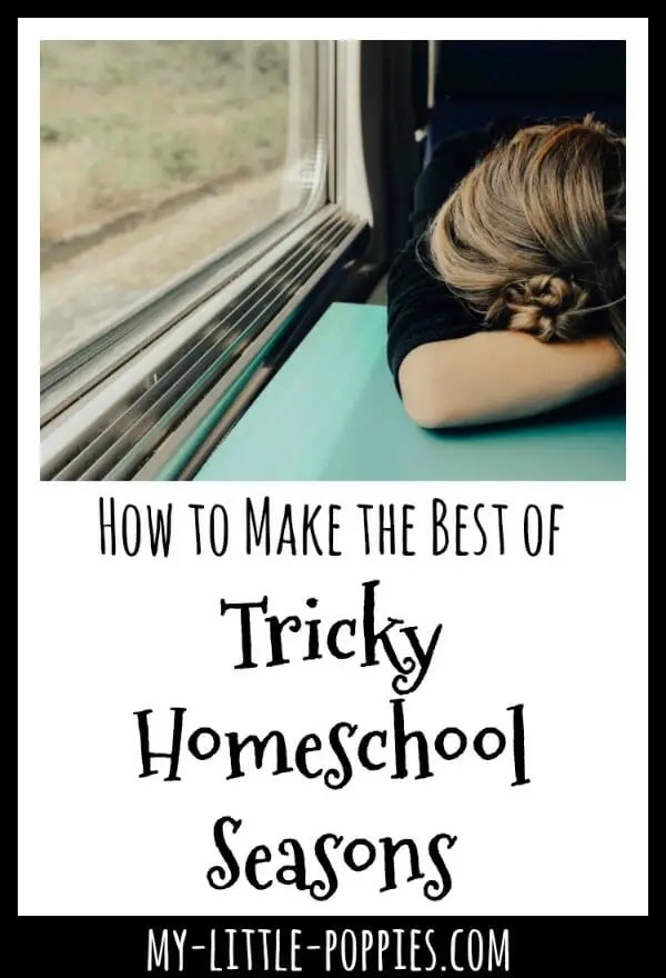 How to Make the Best of Tricky Homeschool Seasons | My Little Poppies