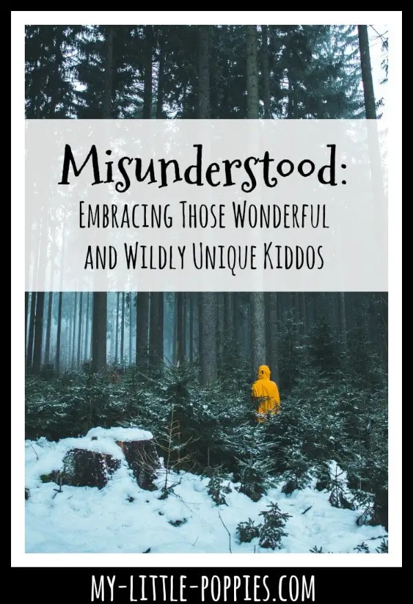 Misunderstood: Embracing Your Wonderful and Wildly Unique Kiddos | My Little Poppies