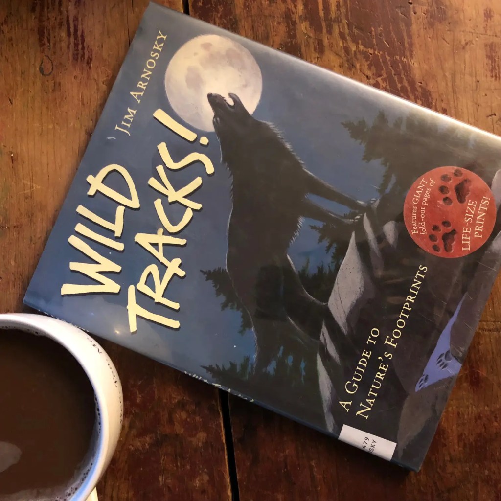 nonfiction in homeschool