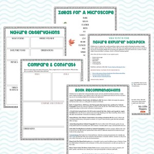 How to Explore Your Backyard with a Microscope | My Little Poppies