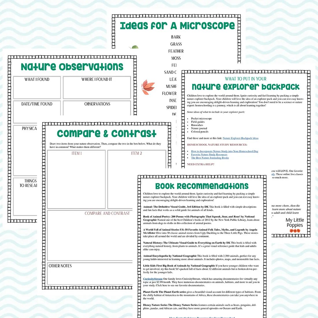 How to Explore Your Backyard with a Microscope | My Little Poppies How to Explore Your Backyard with a Microscope | My Little Poppies