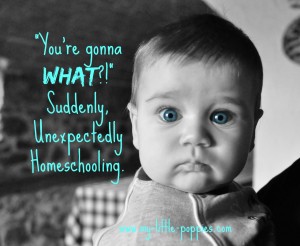You're Gonna What? Suddenly, Unexpectedly Homeschooling