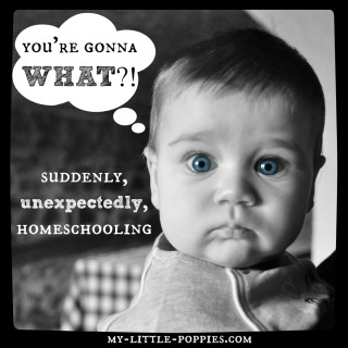 Suddenly, Unexpectedly Homeschooling (“You’re gonna WHAT?!”)