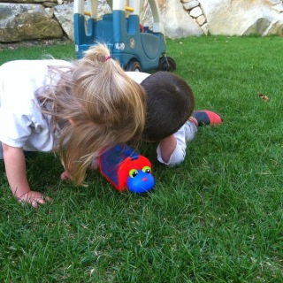 Siblings: This sums them up