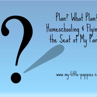 Plan? What plan? Homeschooling & Flying By the Seat of My Pants