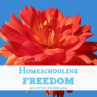 Homeschooling Freedom