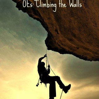 Climbing the walls