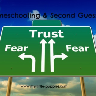 Homeschool Second-Guessing