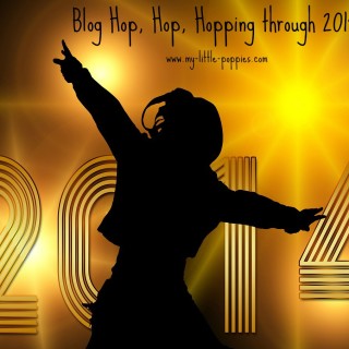 Blog Hop, Hop, Hopping through 2014
