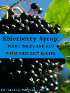 Elderberry Syrup Fight Colds and Flu with this Easy Recipe