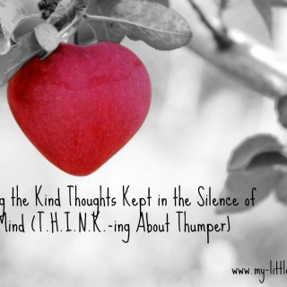 T.H.I.N.K.-ing about Thumper