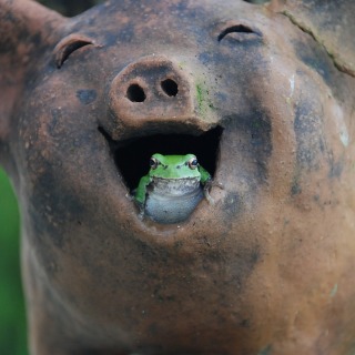 I’ve got a joke for you!