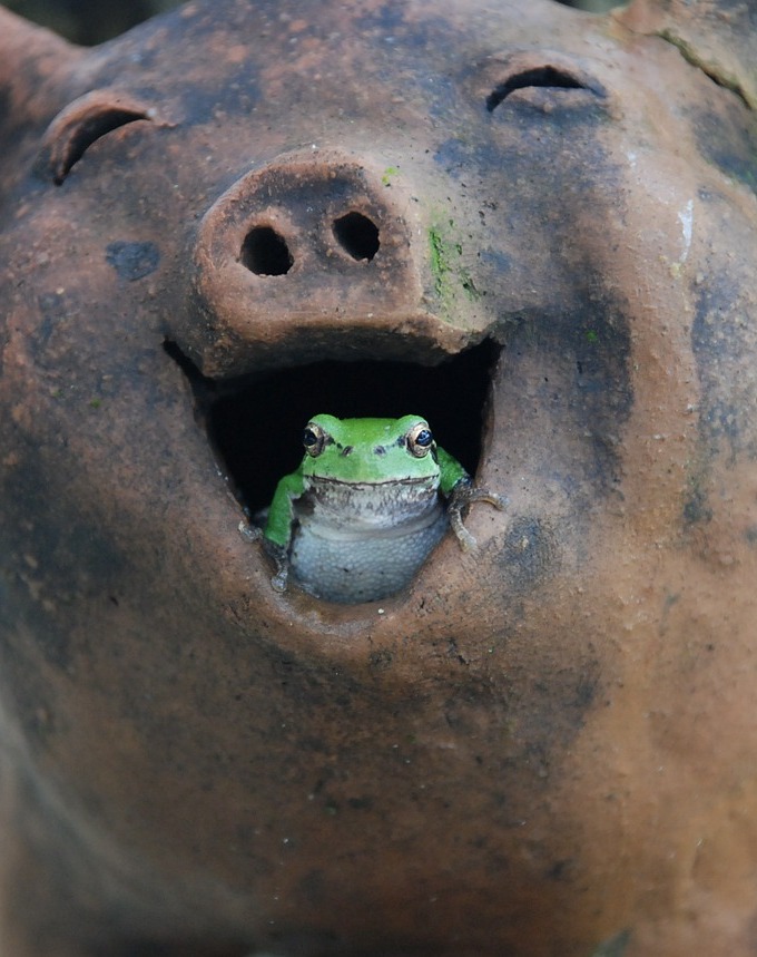 I�ve got a joke for you!