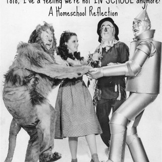 A homeschooling reflection -We’re not in Kansas anymore!