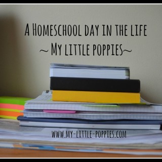 A Homeschool Day in the Life 2015