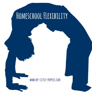 Homeschool Flexibility