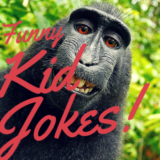 Funny Jokes for Kids