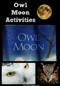 owl moon