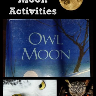 Owl Moon by Jane Yolen