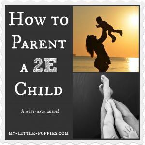 How to Parent a 2E Child