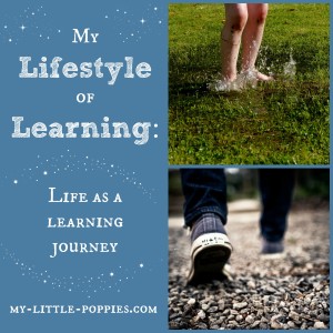 My Lifestyle of Learning