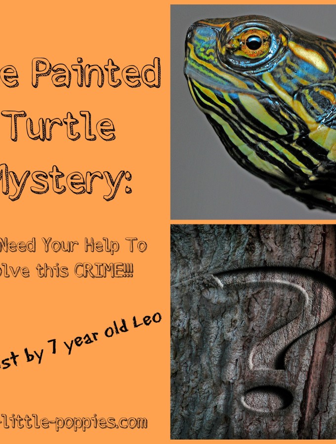 The Painted Turtle Mystery {A POST BY LEO}