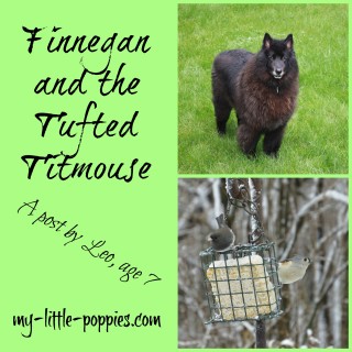 Finnegan and the Tufted Titmouse {A Post by LEO}