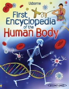 human body
