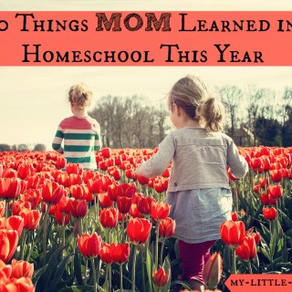 10 Things Mom Learned in Homeschool This Year