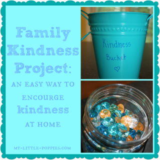Family Kindness Project {Have You Filled A Bucket Today?}
