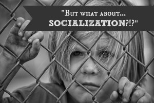 but what about...socialization