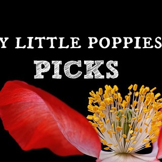 My Little Poppies’ Picks {weekend wrap-up}