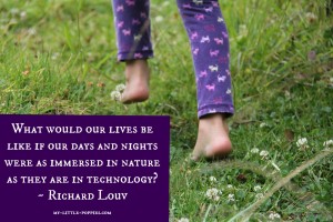 my little poppies quote 10