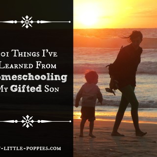101 Things I’ve Learned From Homeschooling My Gifted Son