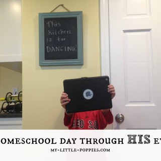 A Homeschool Day Through HIS eyes