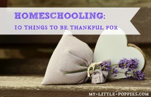 Homeschooling 10 Things to Be Thankful For