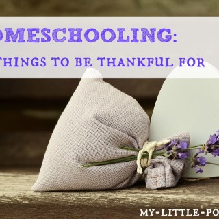 10 Things to Be Thankful For About Homeschooling