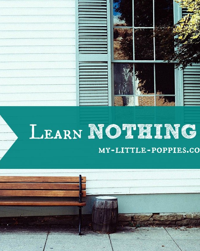 Learn Nothing Day 2015