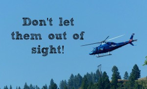 don't let them out of sight