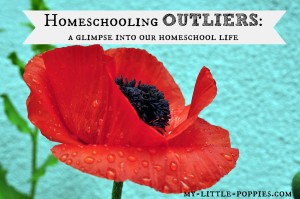 homeschool gifted homeschooler day in the life schedule routine