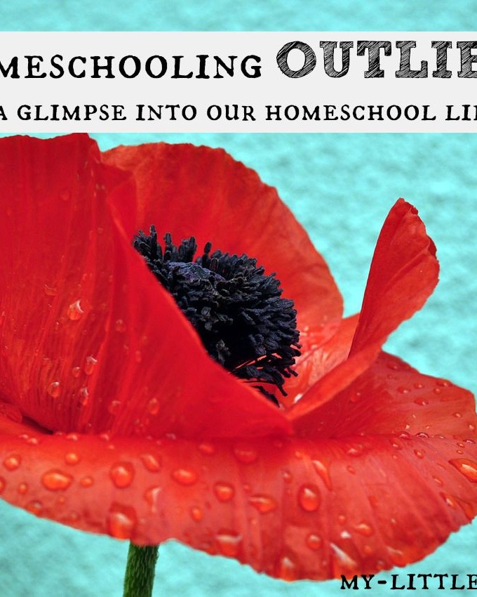 Homeschooling Outliers: A glimpse into our homeschool life