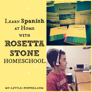 Learn Spanish at Home with Rosetta Stone Homeschool