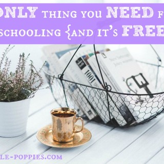 The ONLY Thing You Need for Homeschooling {and it’s FREE!}