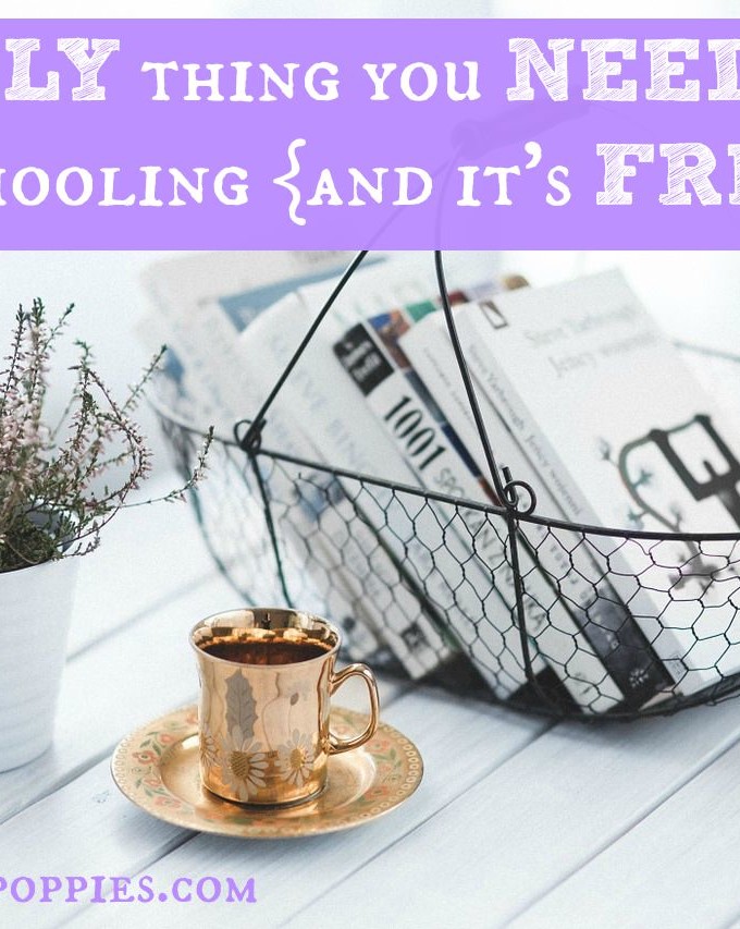 The ONLY Thing You Need for Homeschooling {and it’s FREE!}