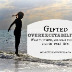 gifted, gtchat, giftedness, gifted education, parenting, gifted parenting, dabrowski, OE, adhd, spd